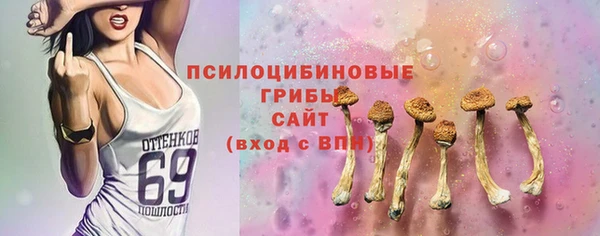 прущие грибы Балахна