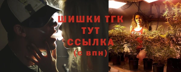 прущие грибы Балахна
