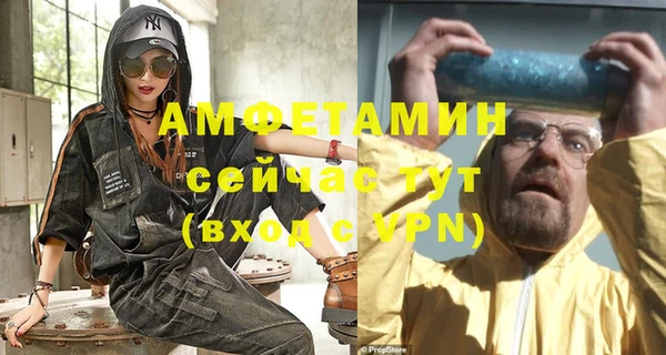 прущие грибы Балахна
