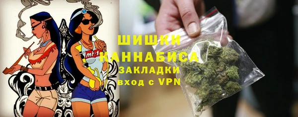 прущие грибы Балахна