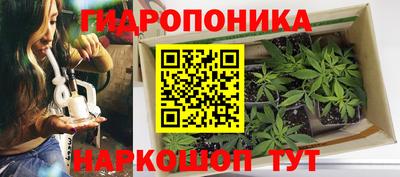 круглые Можга