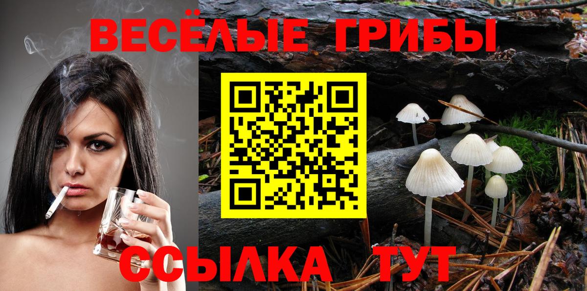 Псилоцибиновые грибы ЛСД Реутов