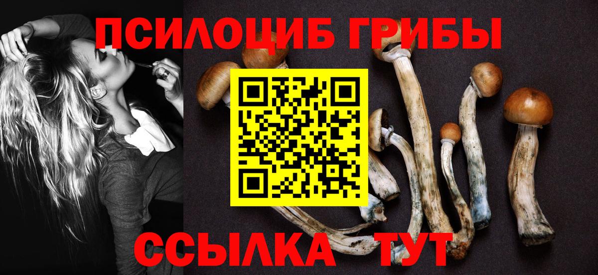 Псилоцибиновые грибы мицелий  Вход с VPN  Реутов 